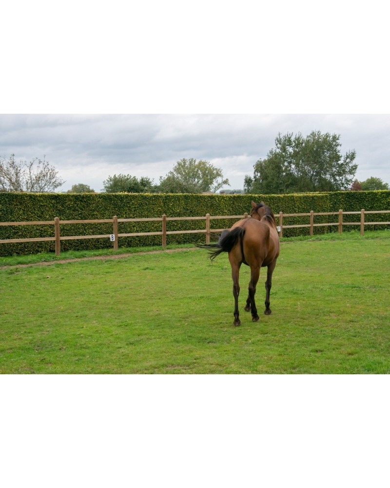 Dierenomheining Ranch
