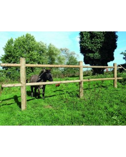 Dierenomheining Corral