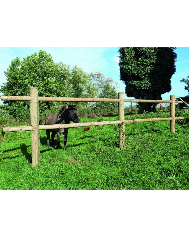 Dierenomheining Corral