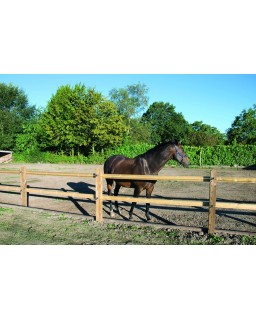 Dierenomheining Prairie ligger