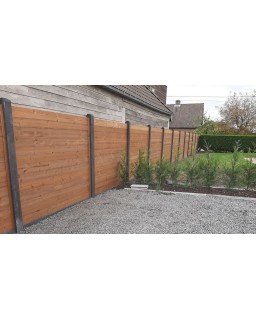 Plank thermo grenen