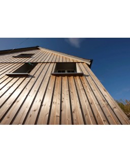 Planchet Thermo Naaldhout