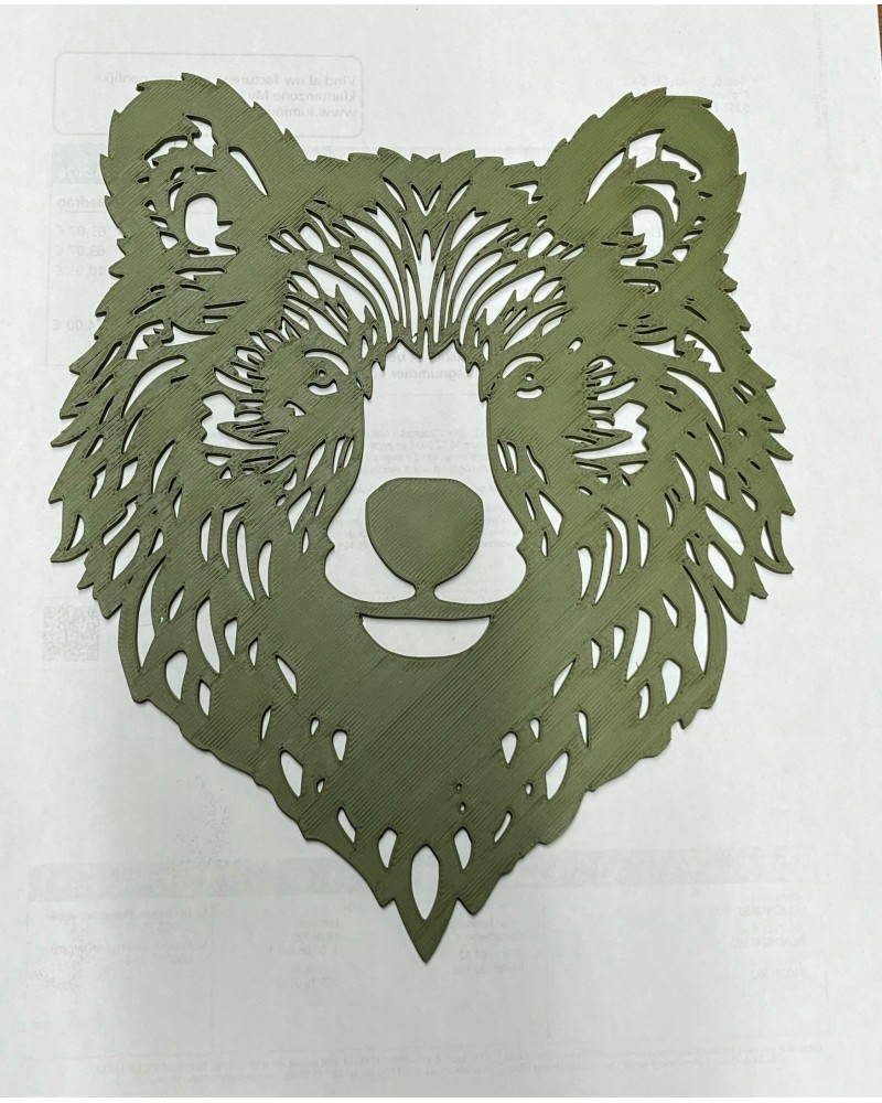 Bear