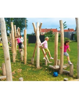 Robinia geschuurde paal