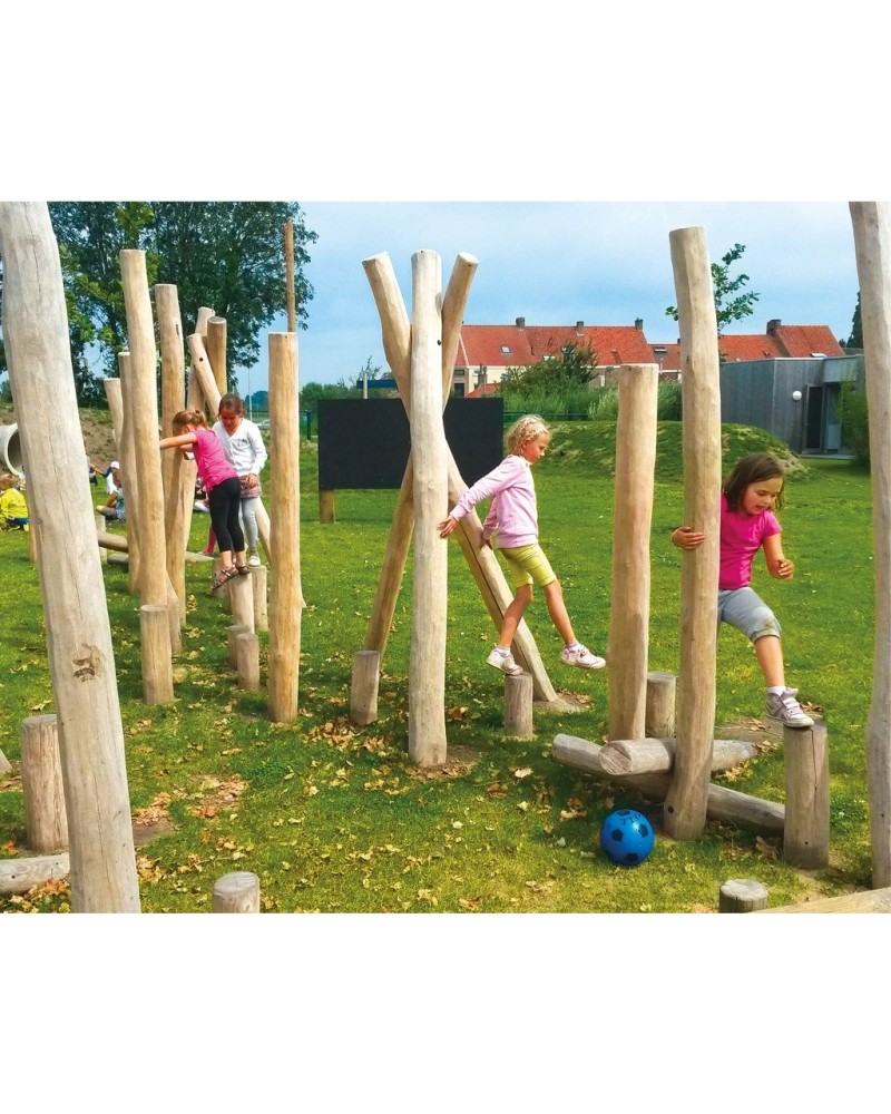 Robinia geschuurde paal