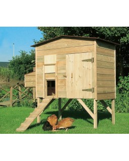 Kippenhok groot