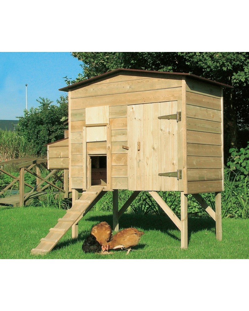 Kippenhok groot