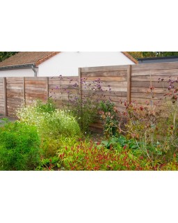 Massiefscherm/plank okan