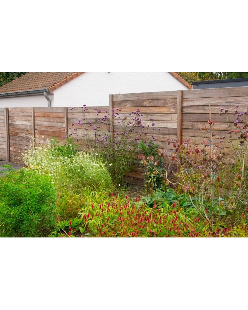 Massiefscherm/plank okan