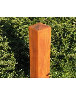 Afbakeningspaal padouk