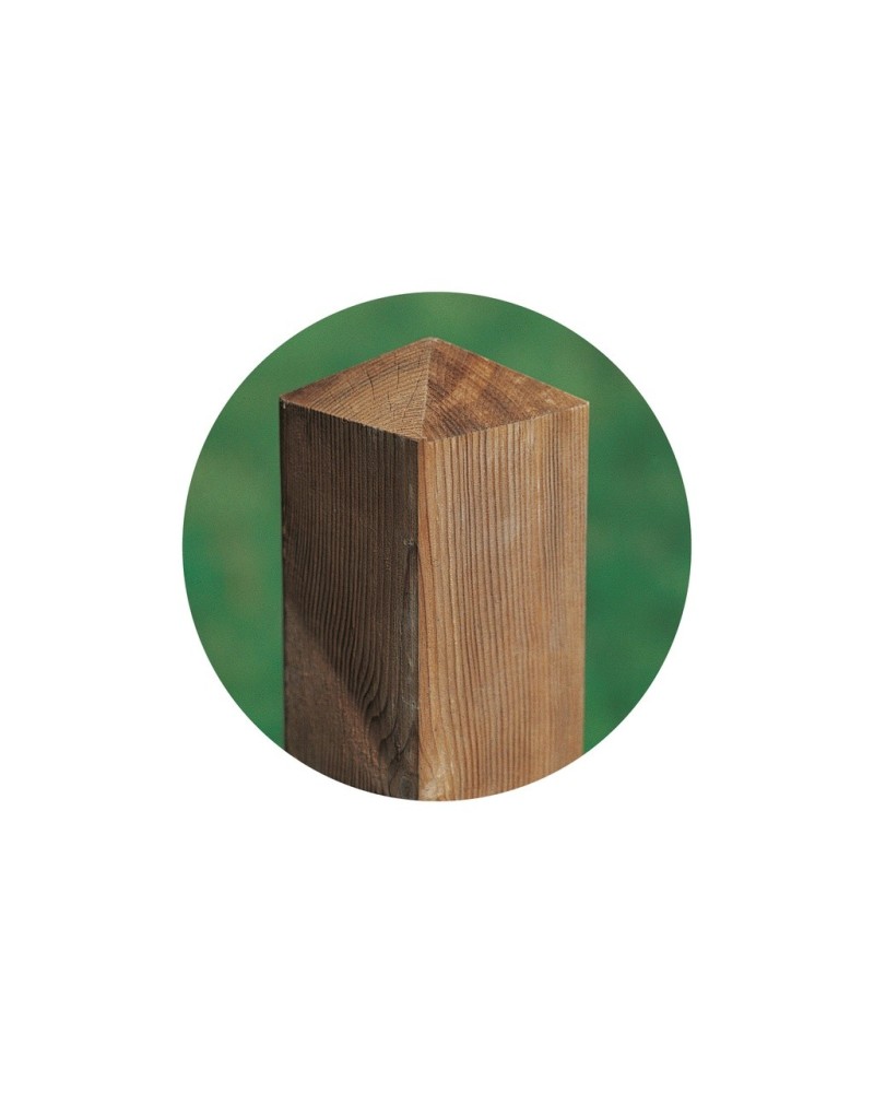 Poortpaal RNG Grenen