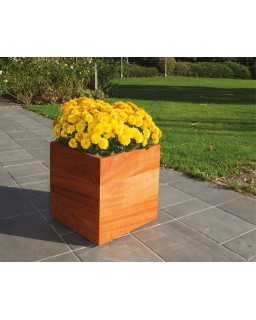 Bloembak Kubo padouk