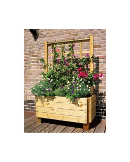 Bloembak met trellis